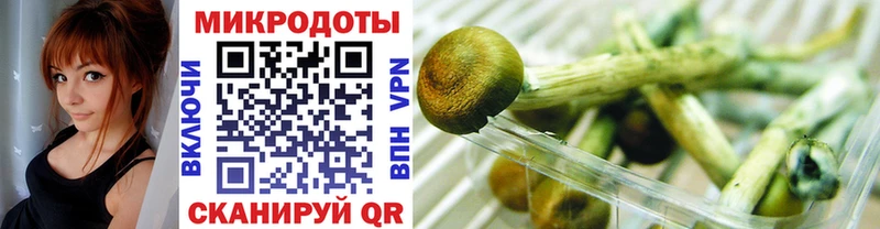 что такое наркотик  Жуковский  Псилоцибиновые грибы MAGIC MUSHROOMS 