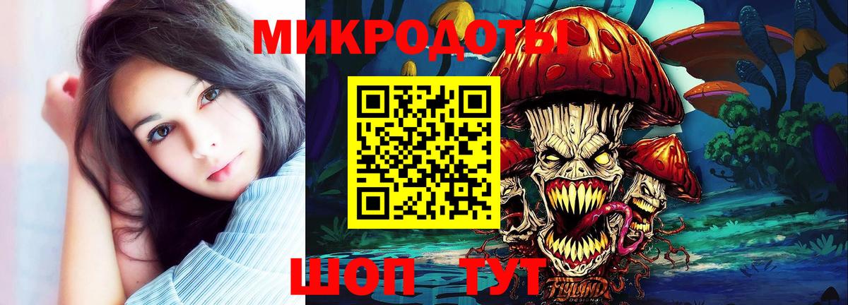 Псилоцибиновые грибы Psilocybine cubensis Жуковский
