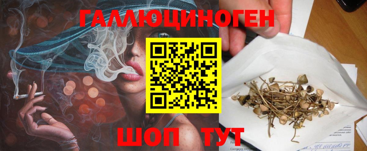 Псилоцибиновые грибы прущие грибы  Вход с VPN  Жуковский 